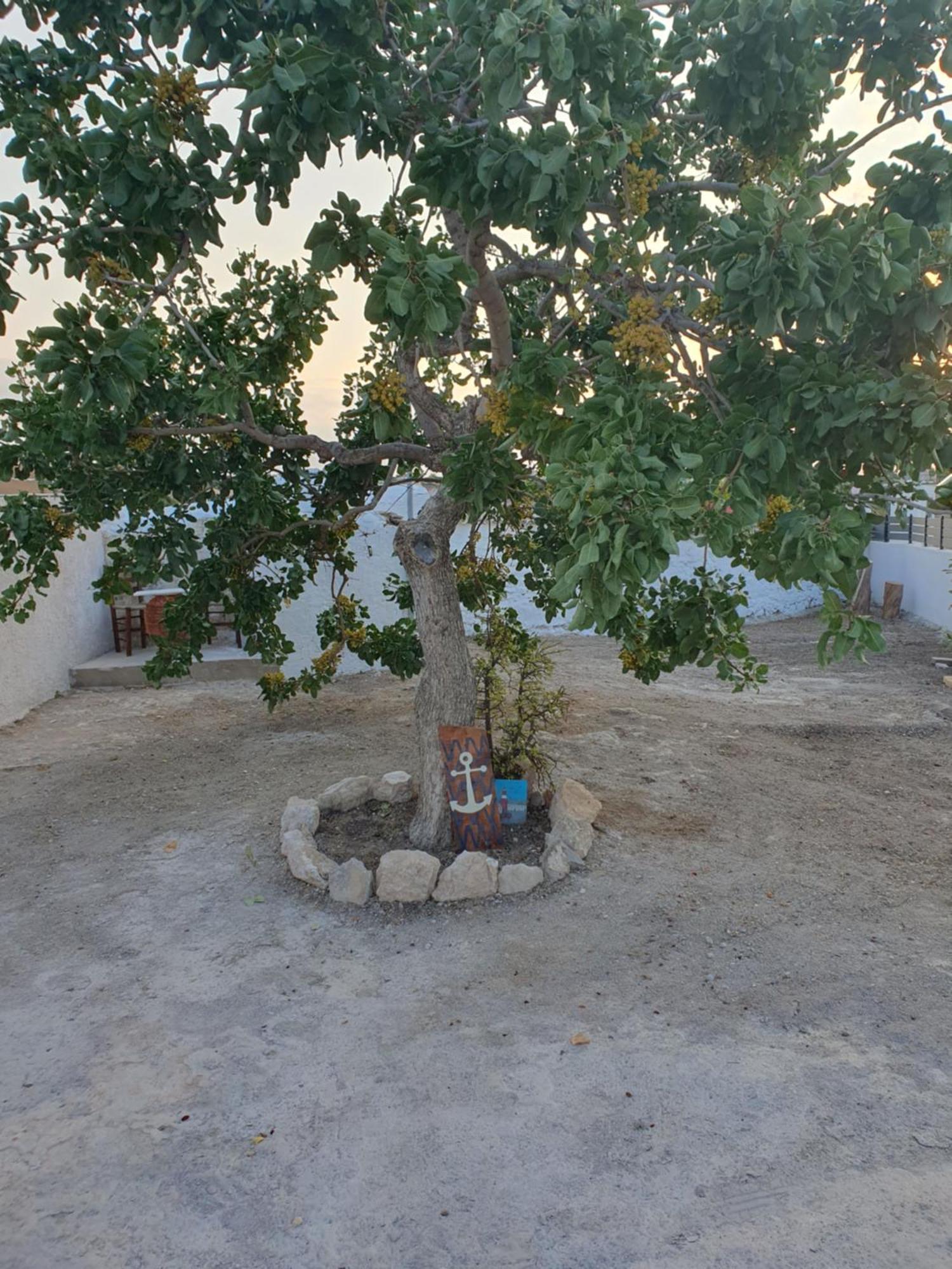 Вилла Da Vinci Kavouropetra Aegina Экстерьер фото